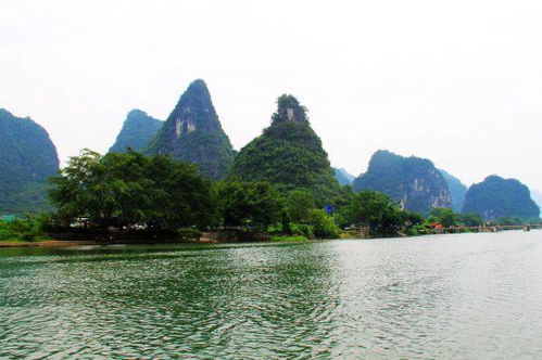 打卡廣西最大農(nóng)莊,吃陽(yáng)朔網(wǎng)紅啤酒魚(yú)